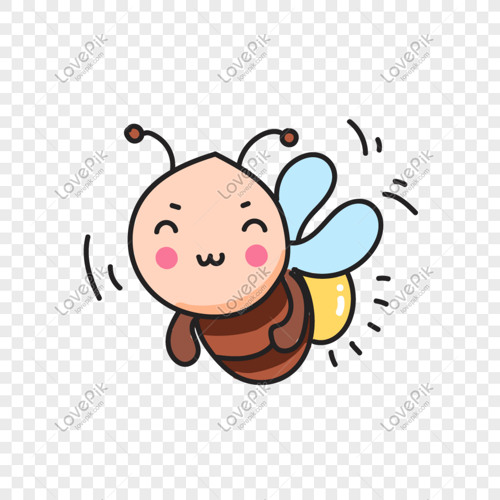 Kết thúc lưng chừng- Bo bắp