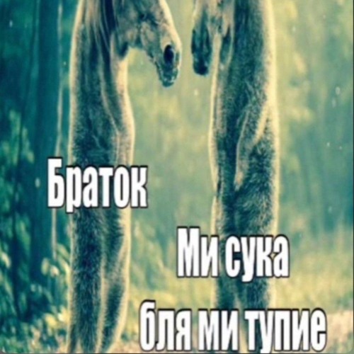 НЕ ВМ2СТ2(single)