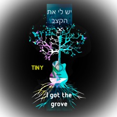 I Got The Grove - יש לי קצב