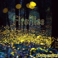 Fireflies - Walking Chakra