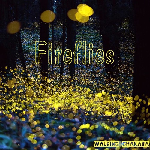Fireflies - Walking Chakra