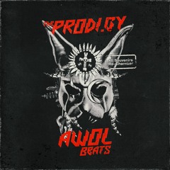 #SVNR: The Prodigy - AWOL BEATS // re-chamber