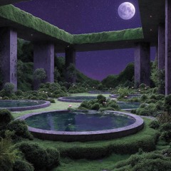 First Light And The Birds