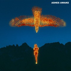 Rise Again (Feat. Baiden Holland)