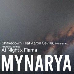 At Night x Flama ( MYNARYA REMIX ) FREEDOWNLOAD
