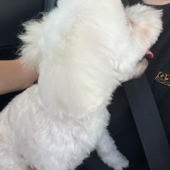 100万回のiloveyou_remix