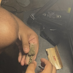 the back Prod Alfo(N)s