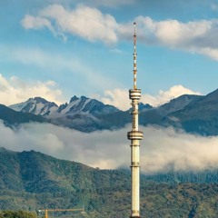 Кос карлыгаш