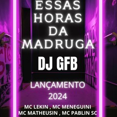 ESSAS HORAS DA MADRUGA ( DJ GFB LANÇAMENTO 2024 )