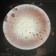 these are ewerywhere instrumental