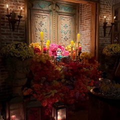 Sunday at Sante (11.02)