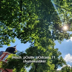 fAlsch_pOsitiv_pOdcast_71_rAumakustiker