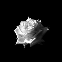 хотелось бросить