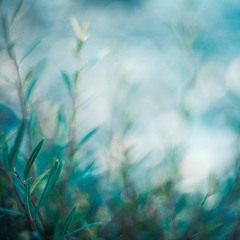 Being Present - Quick Practice by Jeddah Mali