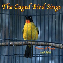 The Caged Bird Sings (with Wull)