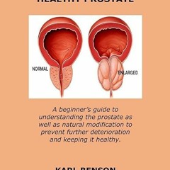 Epub✔ MAINTAINING A HEALTHY PROSTATE: A beginner?s guide to understanding the