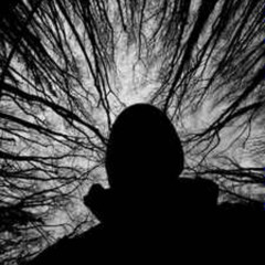 Neuropol - Stand Alone