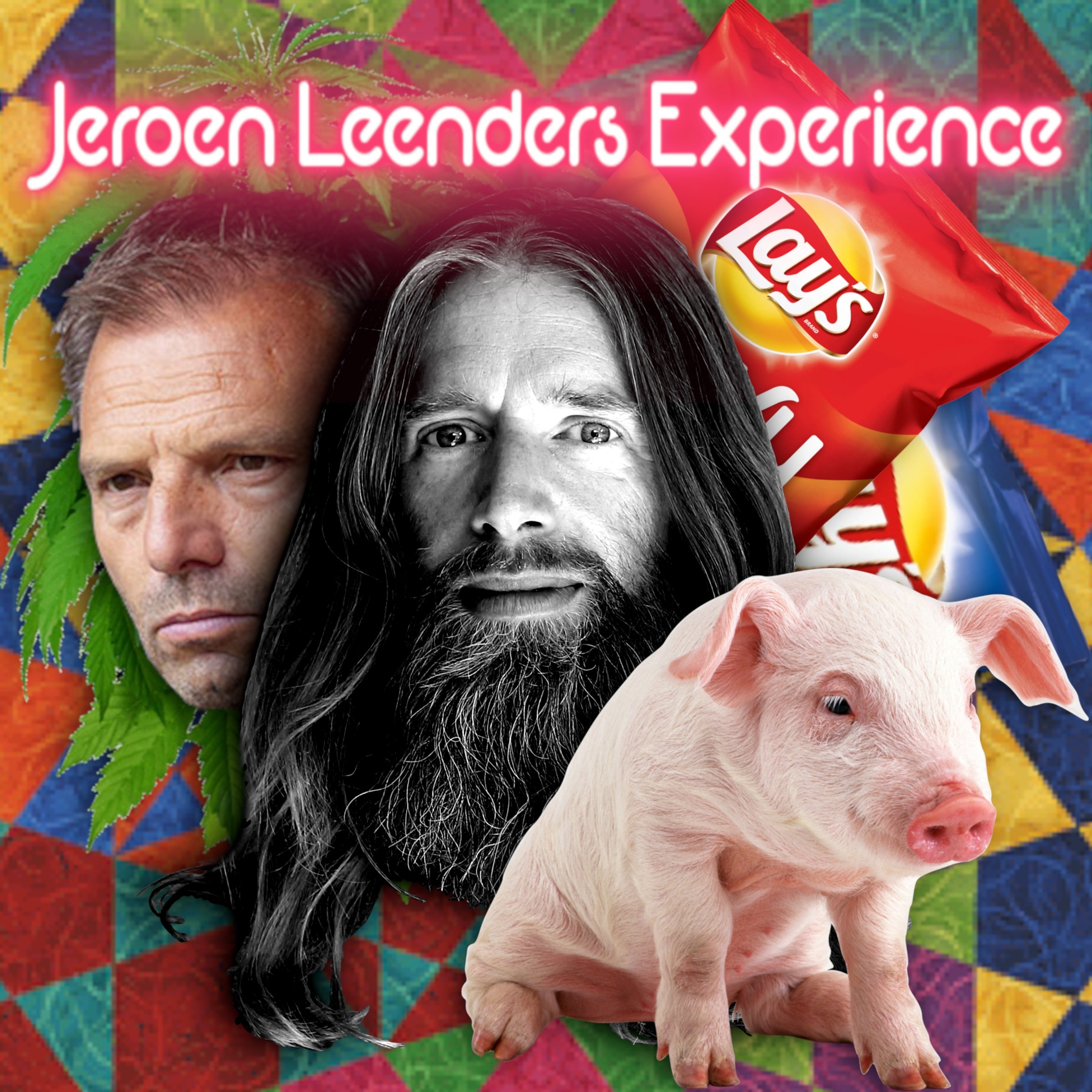 Jeroen Leenders Experience