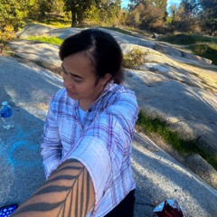 Electric_Guitar-slowed Chris x brown✨🖤