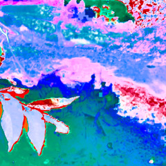 moonlight 0