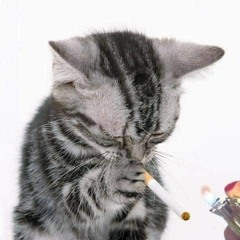 Fe3ling$ (prod. fozo + haiku)