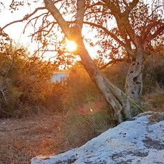 אין סיבה לאהבתו יתברך הוא פשוט אוהב אותך❣️