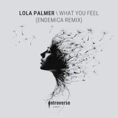 PREMIERE: Lola Palmer - What You Feel (Endemica Remix) [INT006]