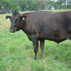 たくや界隈野郎