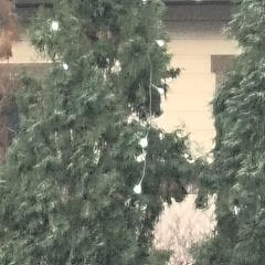 Lari - Skimaskwoman Prod. By Skyy