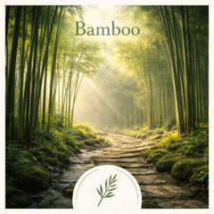 Bamboo