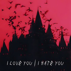 I Love You / I Hate You