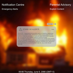 ROALERT _ RACHETĂ - NANE