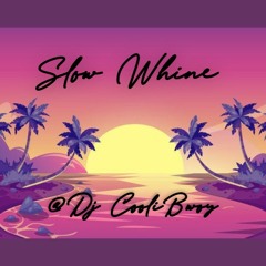 2022 Slow Bashment Mix | Slow Whine | @Dj CoolieBwoy