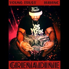 T.R.O.U.B.L.E. - Young Trust (prod. HAVINC)