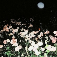 THE CREW (FT. Talezy)