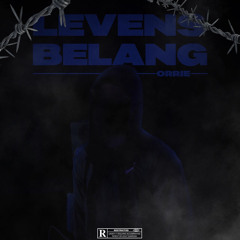 Levensbelang