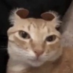 Radiohead x Hatsune Miku // Creep