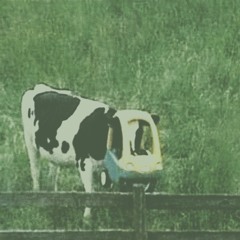 anything, i'll let you