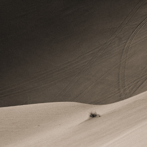 Much of the Distance (excerpt)