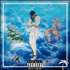 Palmtree Freestyle