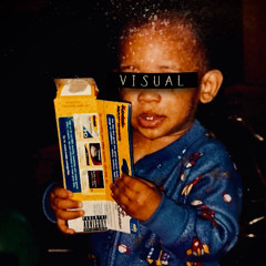 VHS KAI - VISUAL