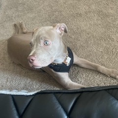 hear-me-in-the-wind.mp3