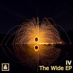 IV - Bury The Hatchet (DPR010)