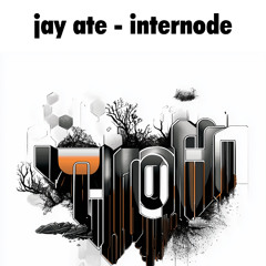 0005 InterNode