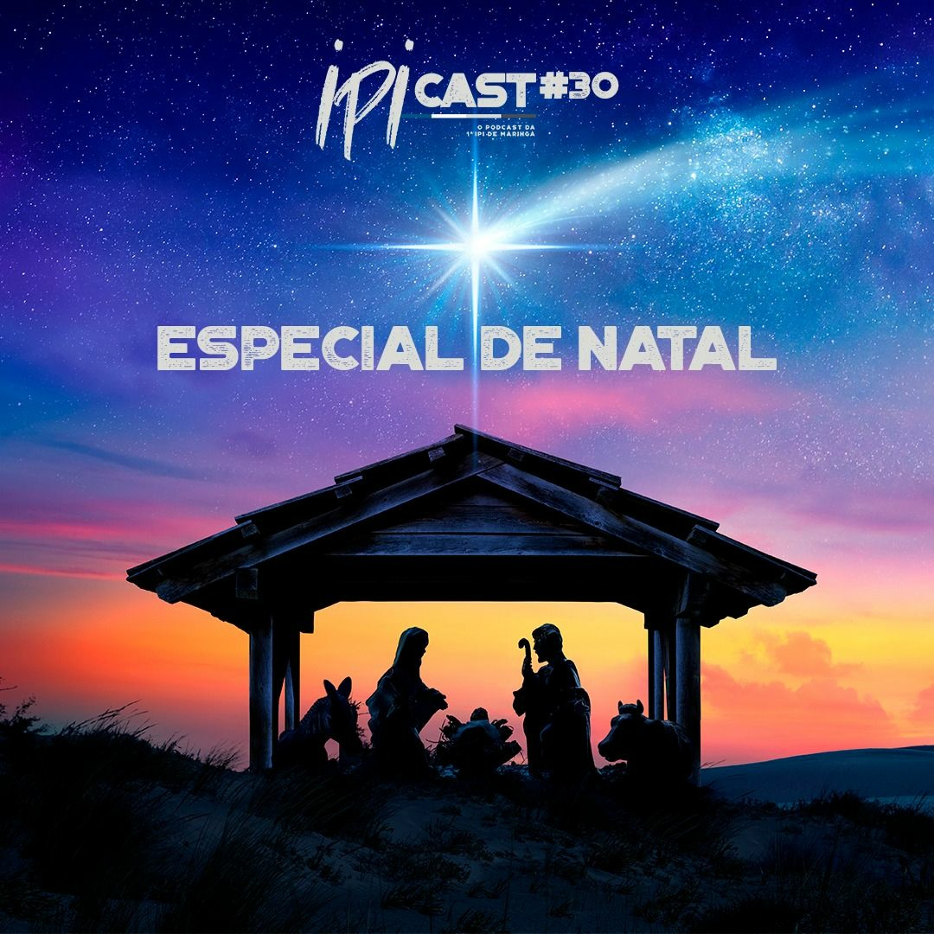 IPIcast