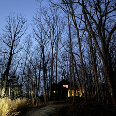 flesh without blood - grimes cover