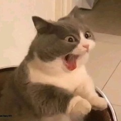 Nhạc remix 😶