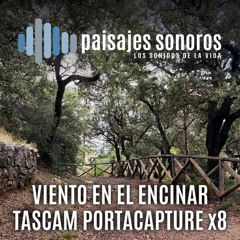 Viento en el Encinar [Tascam X8, RODE NT2000]