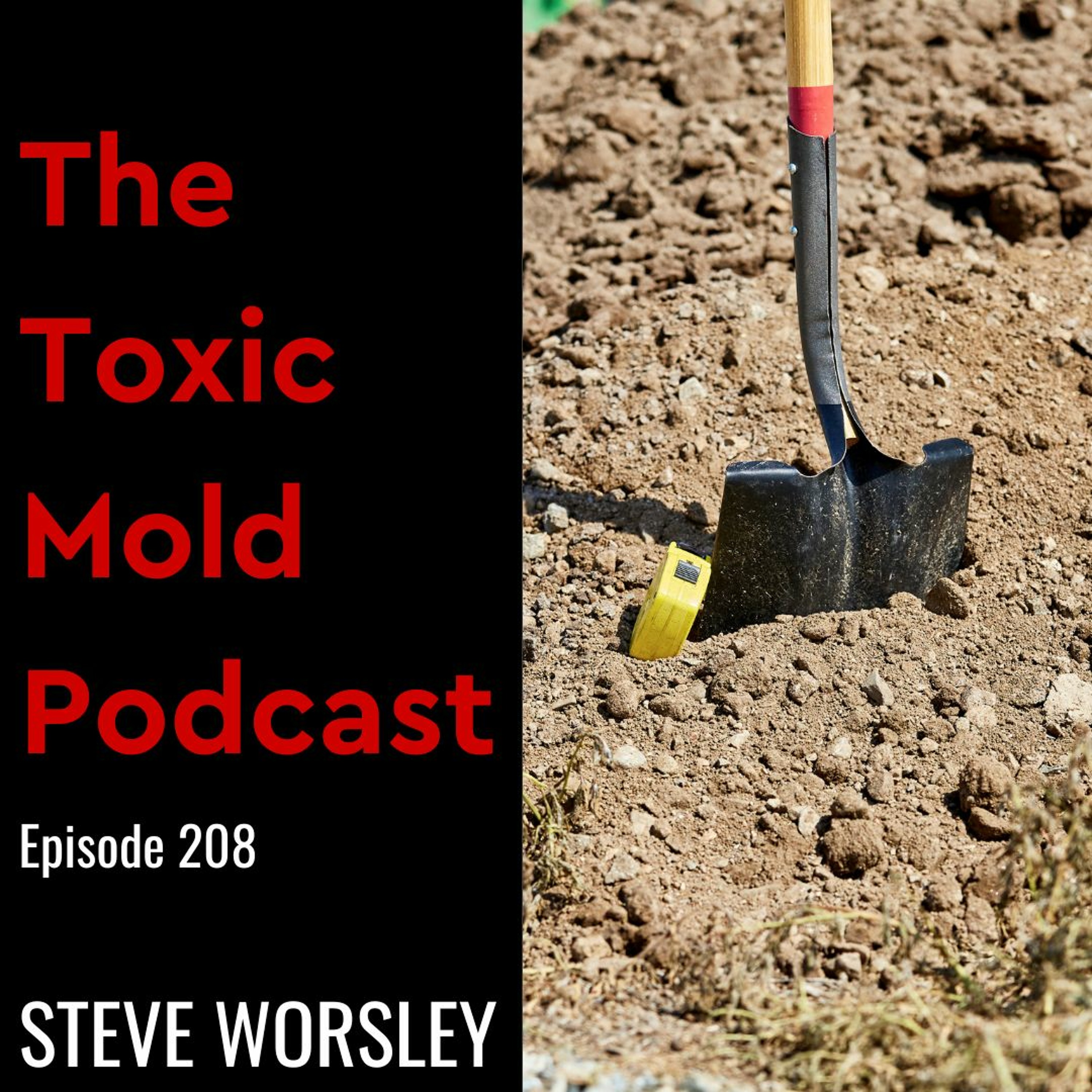 The Toxic Mold Podcast