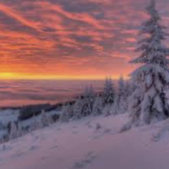 MacXno (Ft Sophia Lamminen) - Merry Christmas